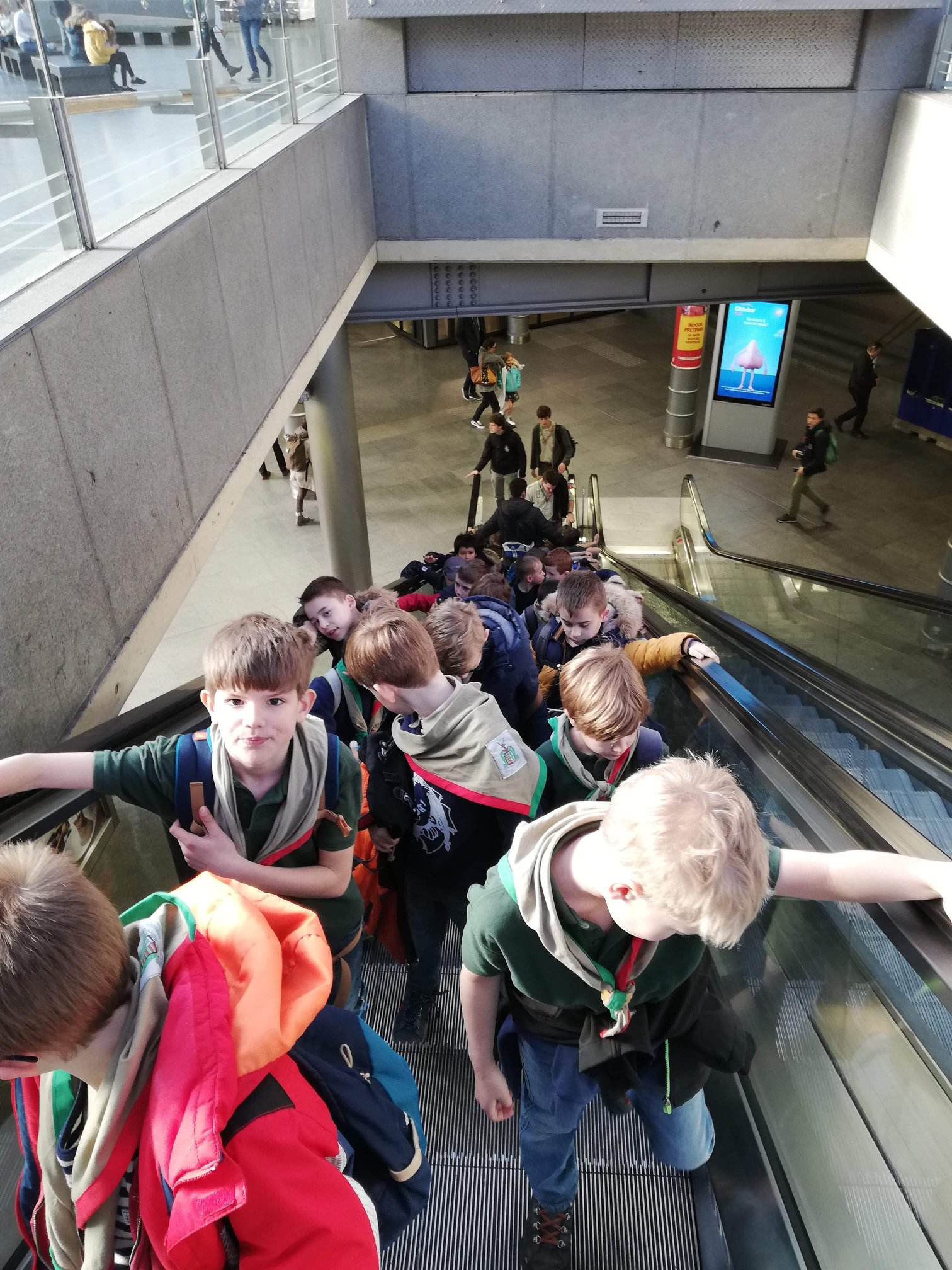 Sint-Martinus den XIIde - Zoo Antwerpen Kapoenen